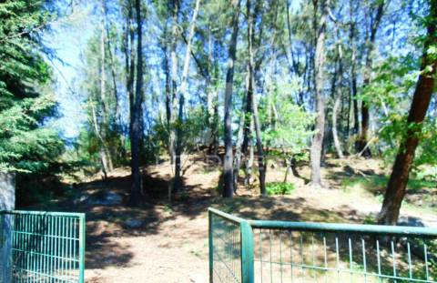 Terreno agrícola c/1,8 ha a 6 kms do centro de vila real 