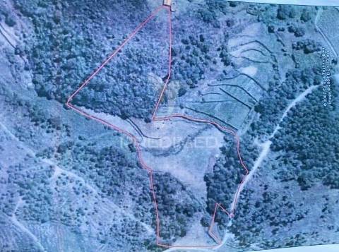 Terreno agrícola c/1,8 ha a 6 kms do centro de vila real 