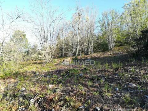 Excelente investimento