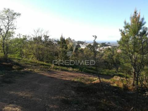 Excelente investimento