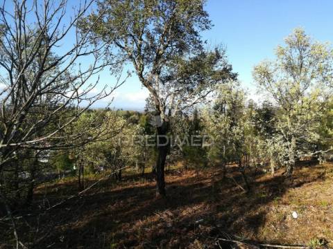 Excelente investimento