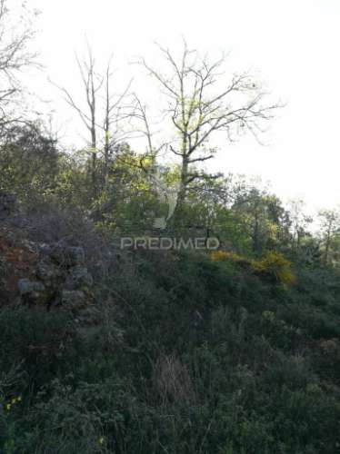 Excelente investimento