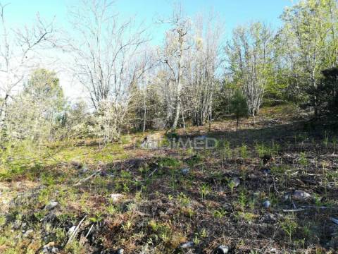 Excelente investimento