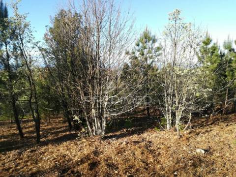 Excelente investimento