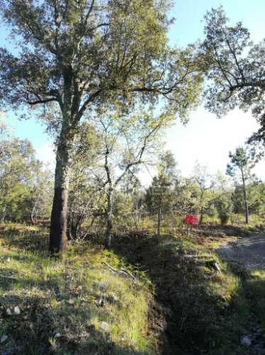 Excelente investimento