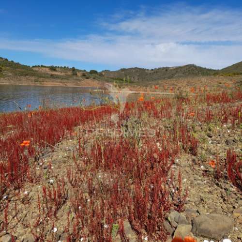 Terreno rustico junto a barragem de odeleite