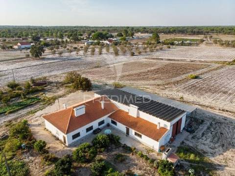 Quinta com moradia t3 em grândola