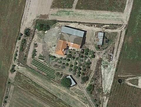 Quinta com moradia t3 em grândola