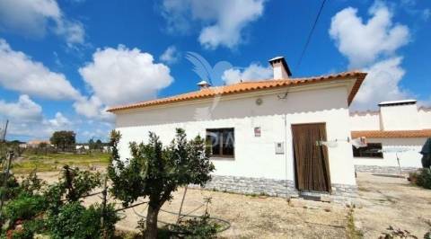 Quinta com moradia t3 em grândola