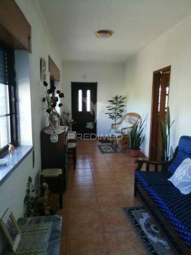 Quinta com moradia t3 em grândola