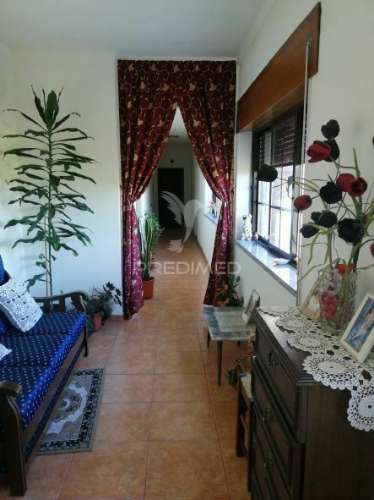 Quinta com moradia t3 em grândola