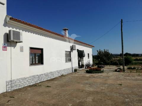 Quinta com moradia t3 em grândola