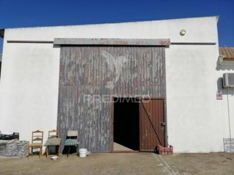 Quinta com moradia t3 em grândola