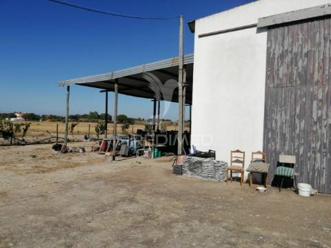 Quinta com moradia t3 em grândola