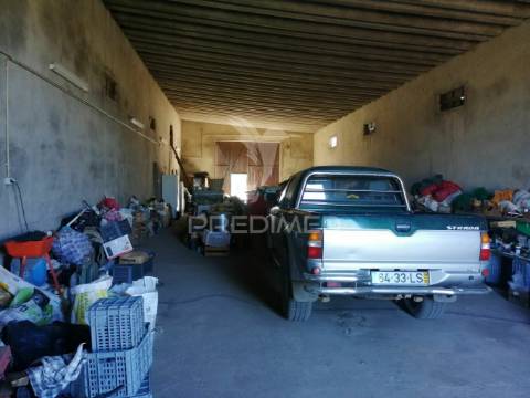 Quinta com moradia t3 em grândola