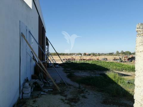 Quinta com moradia t3 em grândola