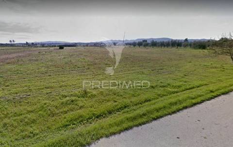 Quinta com moradia t3 em grândola