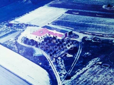 Quinta com moradia t3 em grândola