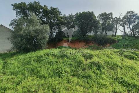 Terreno urbano espinheiro / alcanena