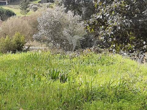 Terreno urbano espinheiro / alcanena