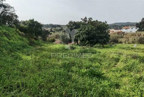 Terreno urbano espinheiro / alcanena