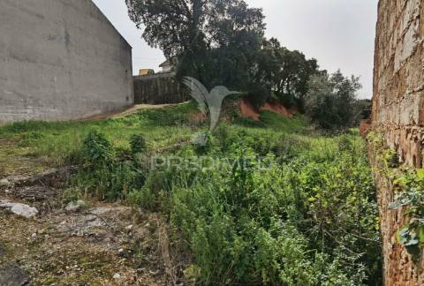 Terreno urbano espinheiro / alcanena
