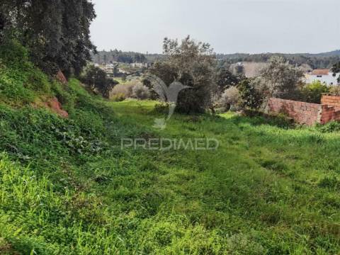 Terreno urbano espinheiro / alcanena