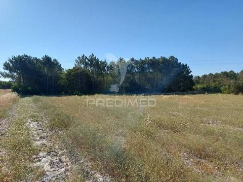 Terreno rustico 14280m2 na região de aljezur algarve