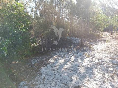 Terreno rustico 14280m2 na região de aljezur algarve