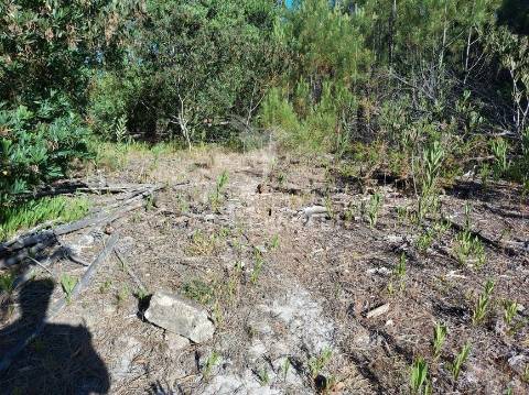 Terreno rustico 14280m2 na região de aljezur algarve