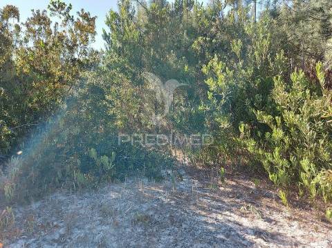 Terreno rustico 14280m2 na região de aljezur algarve