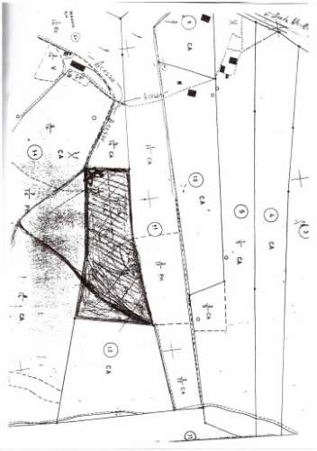 Terreno rustico 14280m2 na região de aljezur algarve