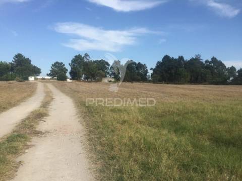 Duas moradias com 250 m2 com piscina.