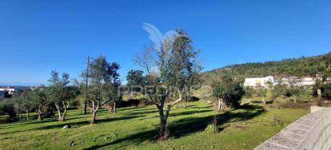 Propriedade para investimento nos fortios