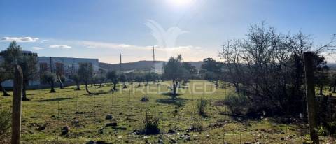 Propriedade para investimento nos fortios