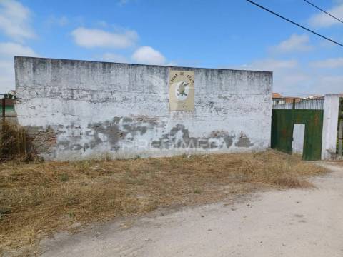 Lagar em vale de açor - ponte de sôr