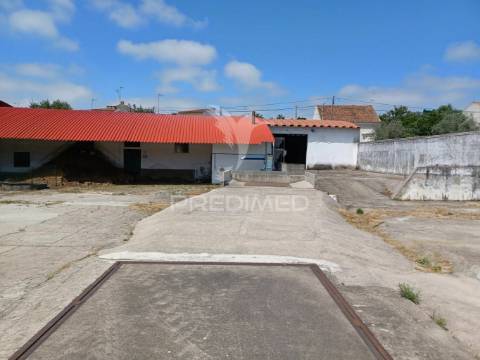 Lagar em vale de açor - ponte de sôr