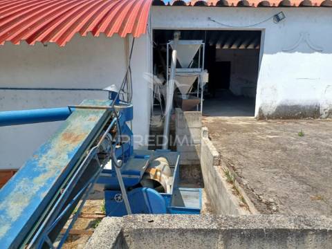 Lagar em vale de açor - ponte de sôr