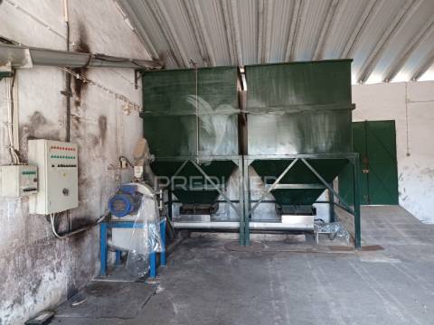 Lagar em vale de açor - ponte de sôr