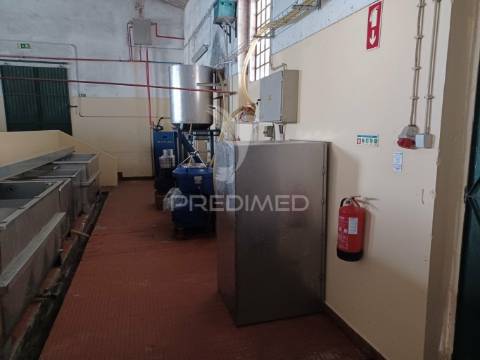 Lagar em vale de açor - ponte de sôr