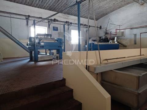 Lagar em vale de açor - ponte de sôr