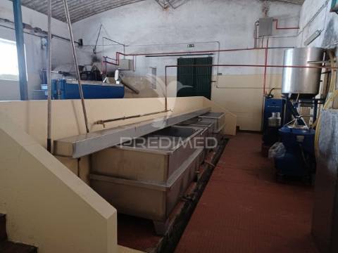 Lagar em vale de açor - ponte de sôr