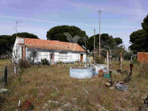 Monte alentejano - grândola