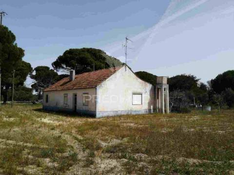 Monte alentejano - grândola