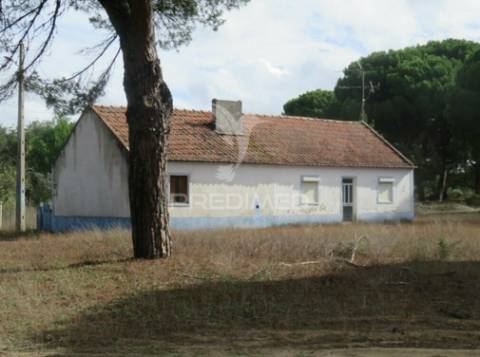 Monte alentejano - grândola