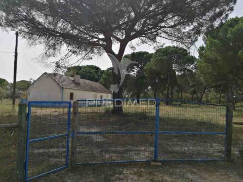 Monte alentejano - grândola