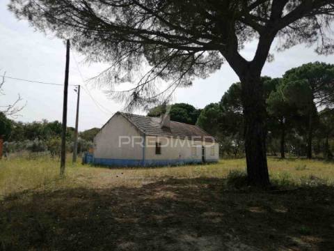 Monte alentejano - grândola