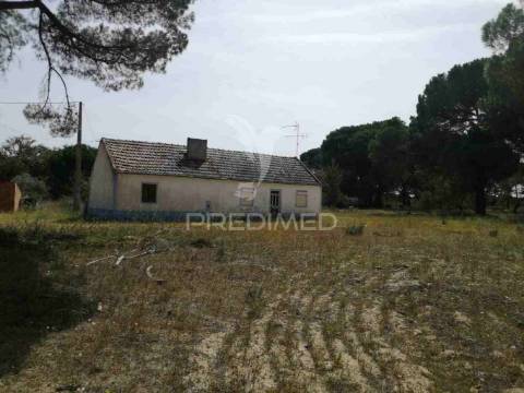 Monte alentejano - grândola