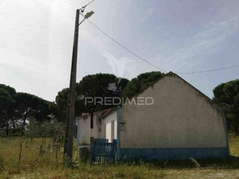 Monte alentejano - grândola