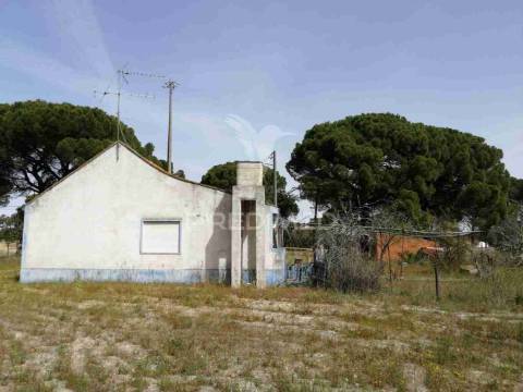 Monte alentejano - grândola
